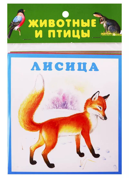 Обложка книги "Животные и птицы. Карточки"