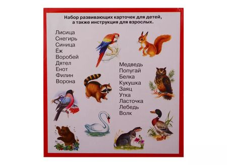 Фотография книги "Животные и птицы. Карточки"