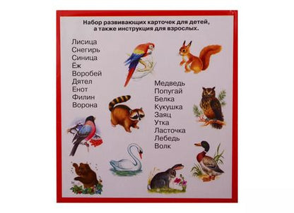 Фотография книги "Животные и птицы. Карточки"
