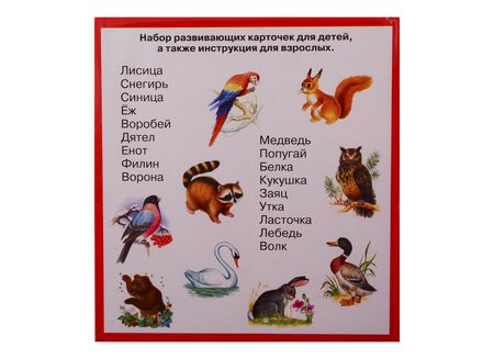 Фотография книги "Животные и птицы. Карточки"