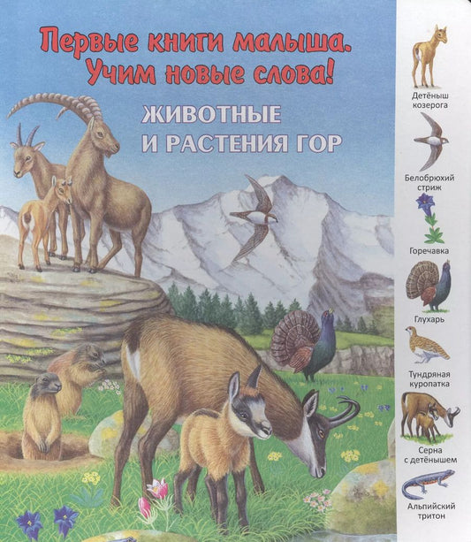 Обложка книги "Животные и растения гор (ПерКнМалУчНовСл) (картон) Комарова"