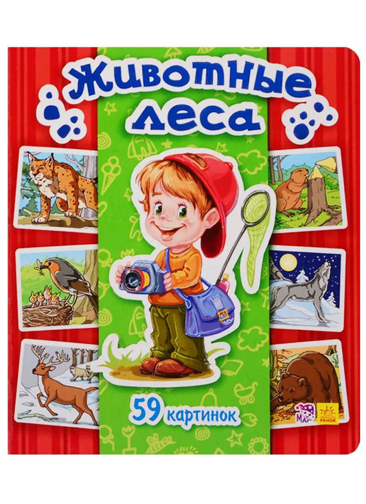 Обложка книги "Животные леса. 59 картинок"