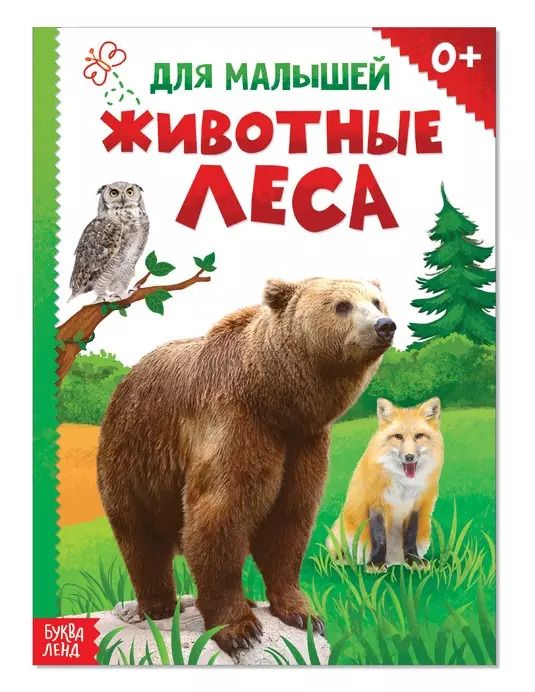 Обложка книги "Животные леса для малышей"