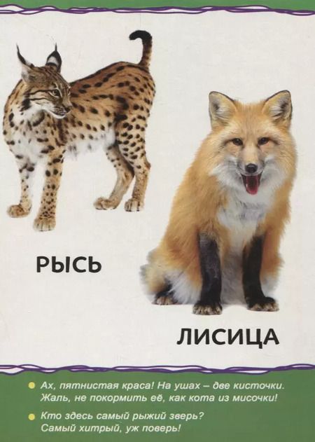 Фотография книги "Животные леса для малышей"