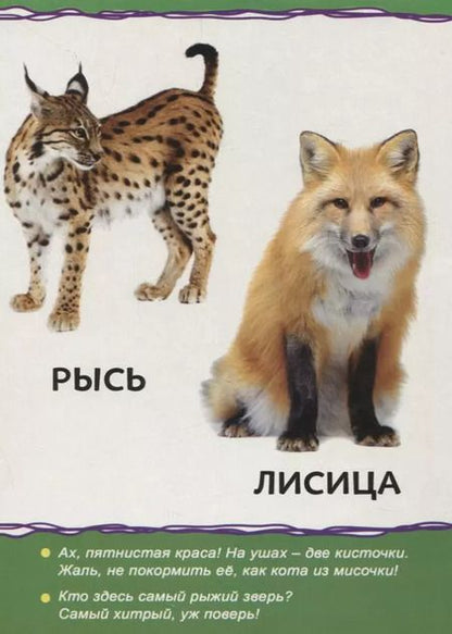 Фотография книги "Животные леса для малышей"