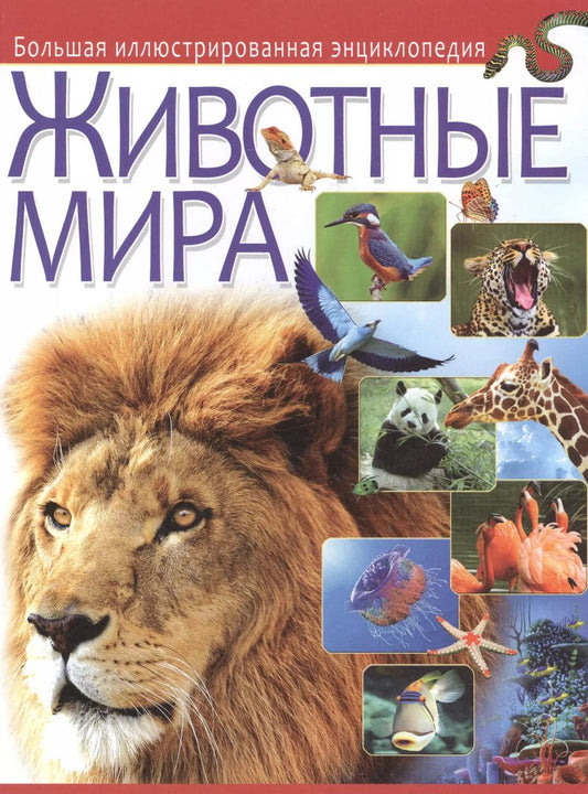 Обложка книги "Животные мира. Большая иллюстрированная энциклопедия"
