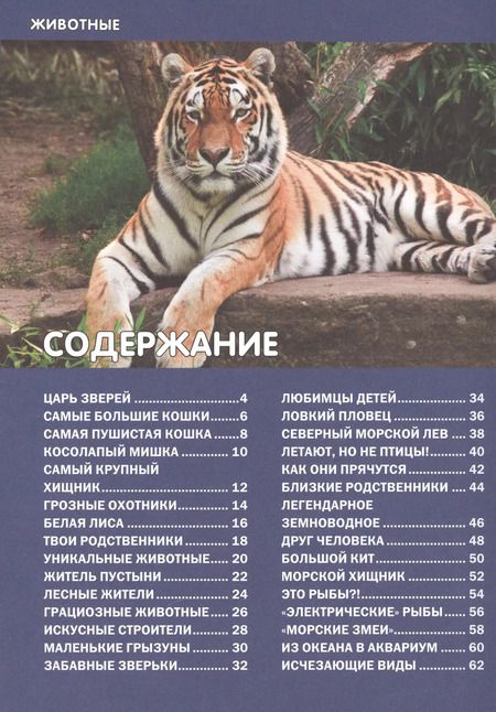 Фотография книги "Животные мира. Детская энциклопедия"
