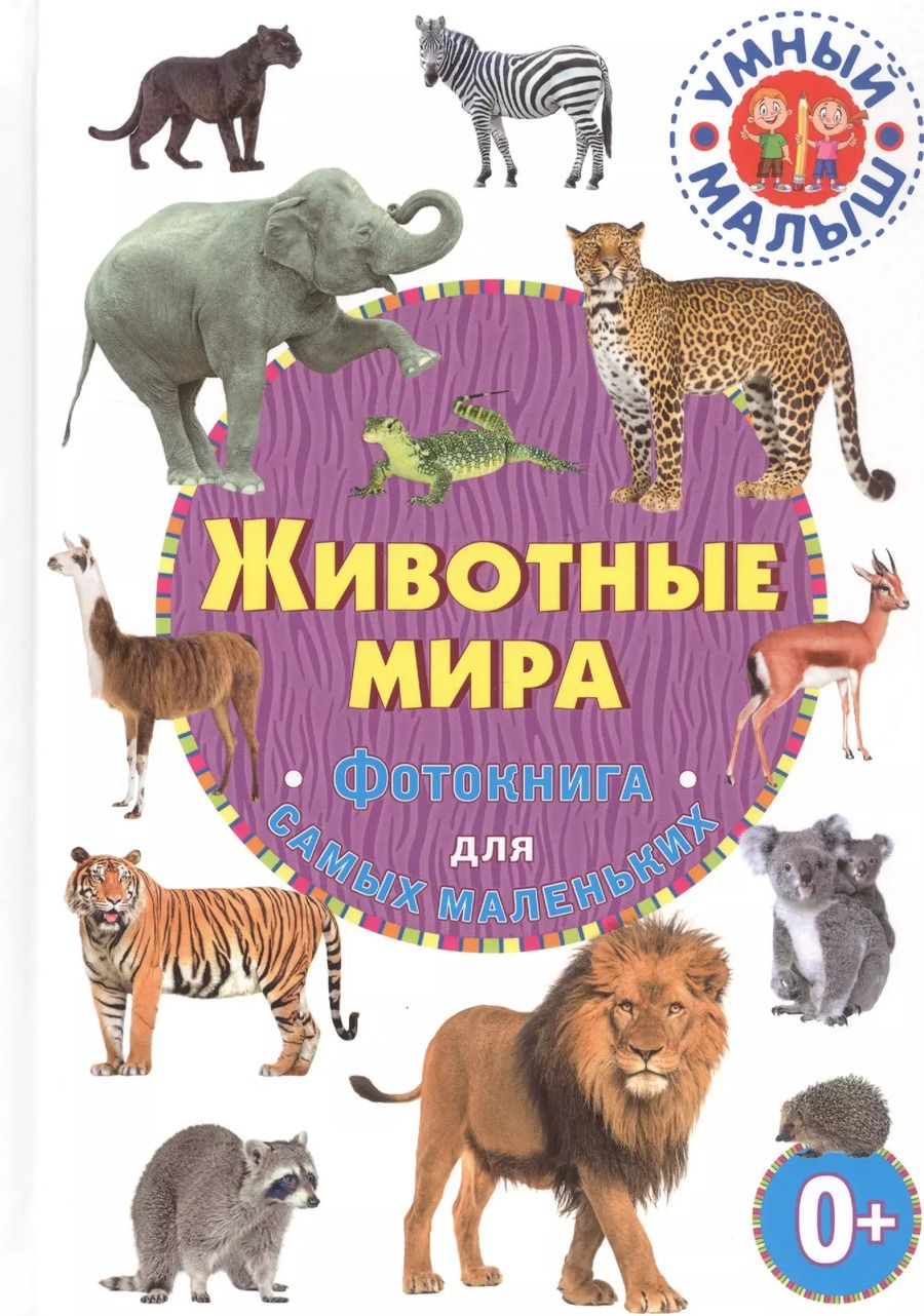 Обложка книги "Животные мира. Фотокнига для самых маленьких"