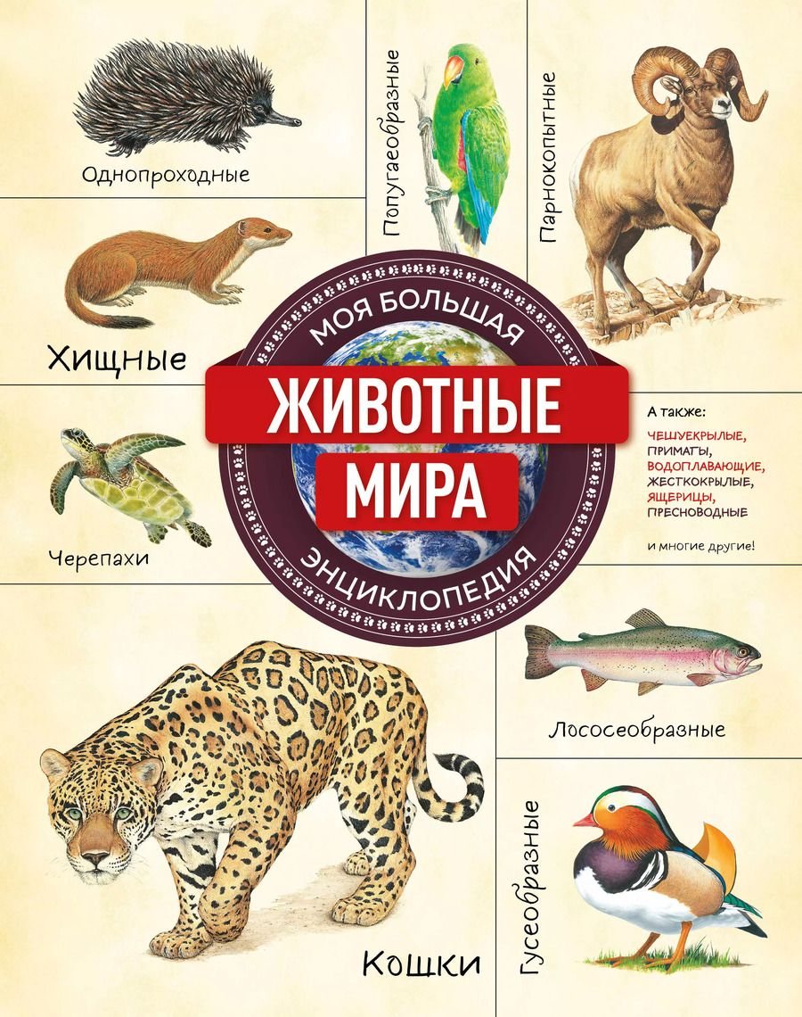 Обложка книги "Животные мира. Моя большая энциклопедия"