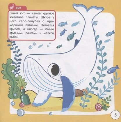 Фотография книги "Животные морей и океанов. Книжка-раскраска"