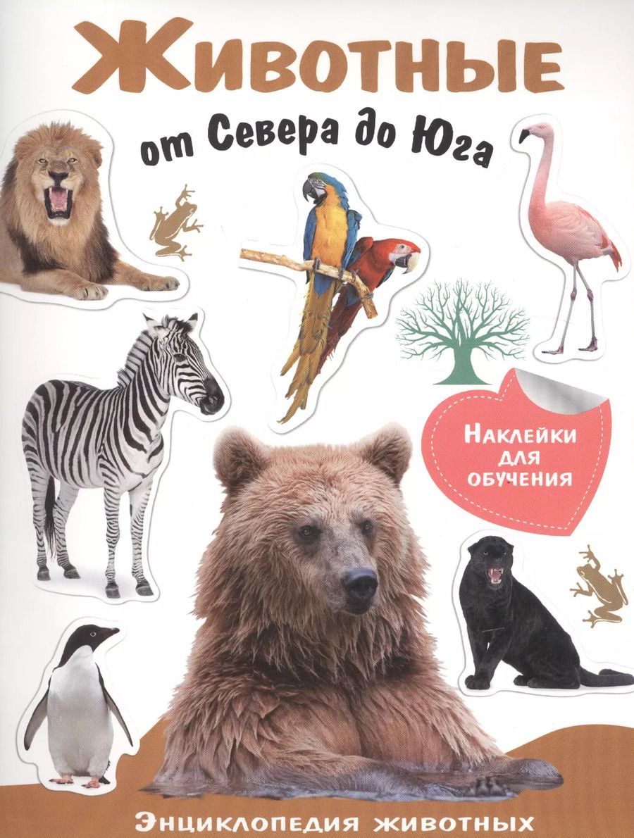 Обложка книги "Животные от Севера до Юга"