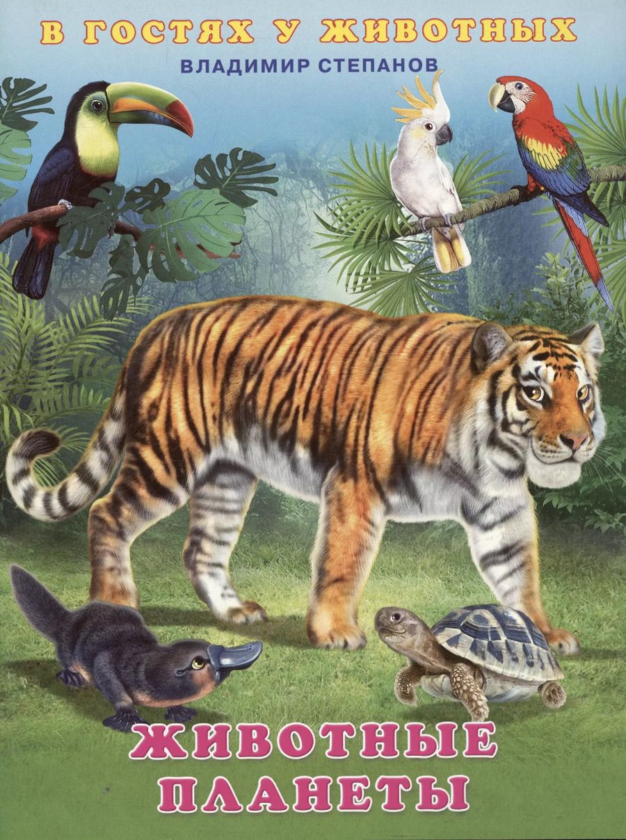 Обложка книги "Животные планеты"