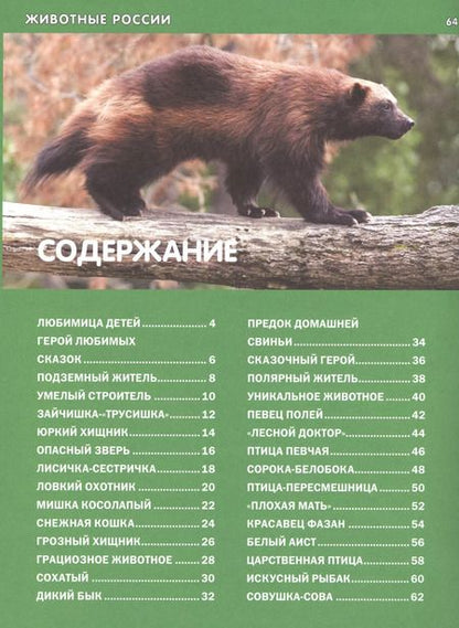 Фотография книги "Животные России. Детская энциклопедия"
