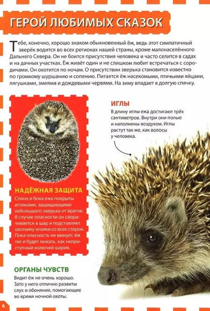 Фотография книги "Животные России. Детская энциклопедия"