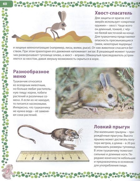 Фотография книги "Животные России. Детская энциклопедия"