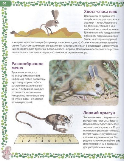 Фотография книги "Животные России. Детская энциклопедия"