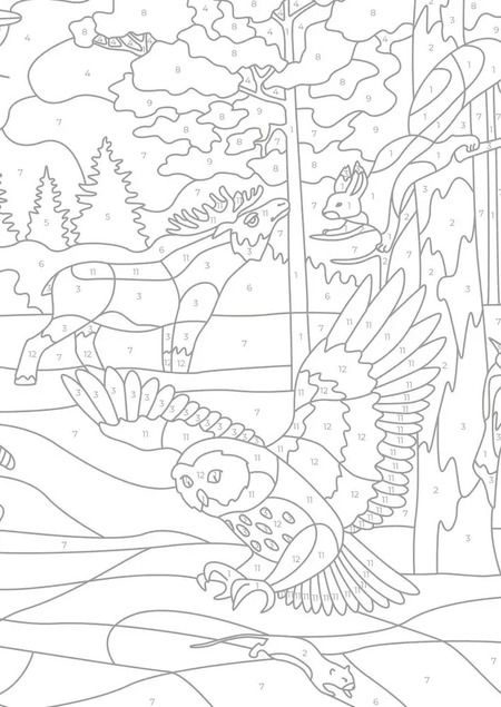 Фотография книги "Животные России. Цвета, символы, номера"