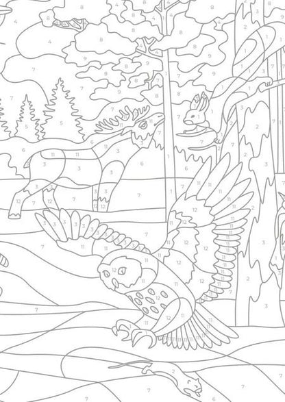 Фотография книги "Животные России. Цвета, символы, номера"