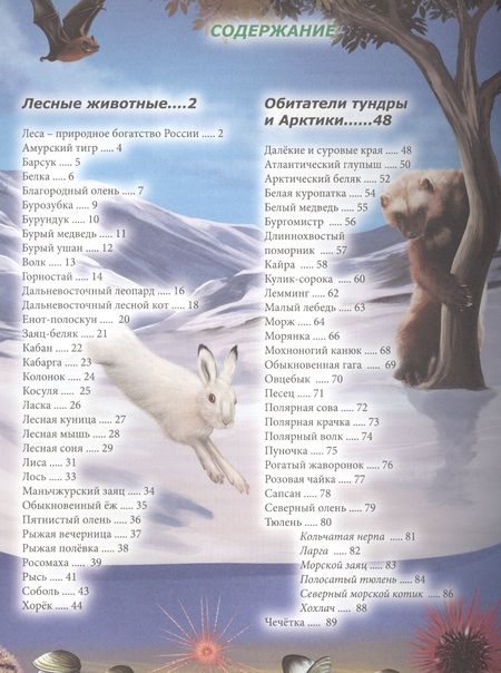Фотография книги "Животные России"
