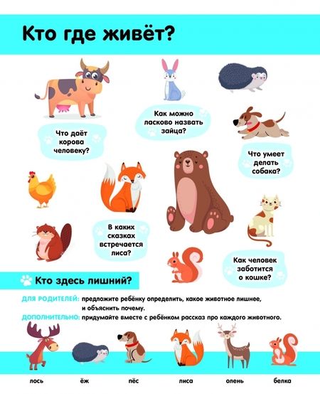 Фотография книги "Животные (с 70 окошками)"