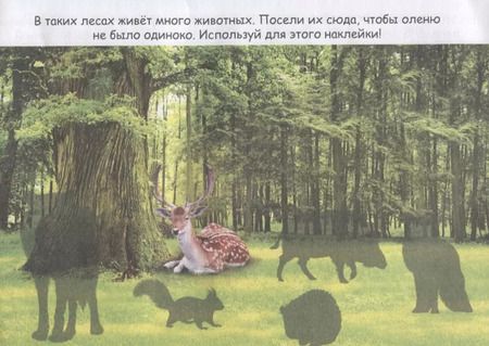Фотография книги "Животные со всего света"