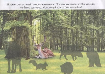 Фотография книги "Животные со всего света"
