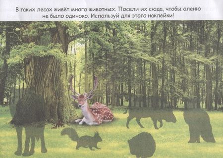 Фотография книги "Животные со всего света"