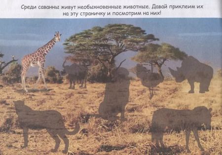 Фотография книги "Животные со всего света"