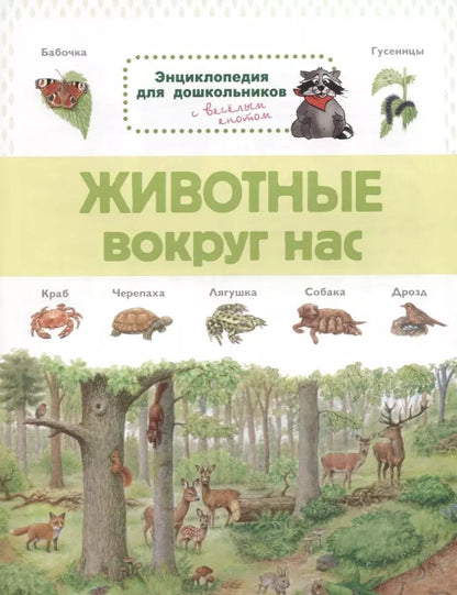 Обложка книги "Животные вокруг нас. Энциклопедия для дошкольников с веселым енотом"