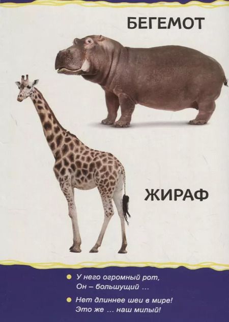 Фотография книги "Животные зоопарка"