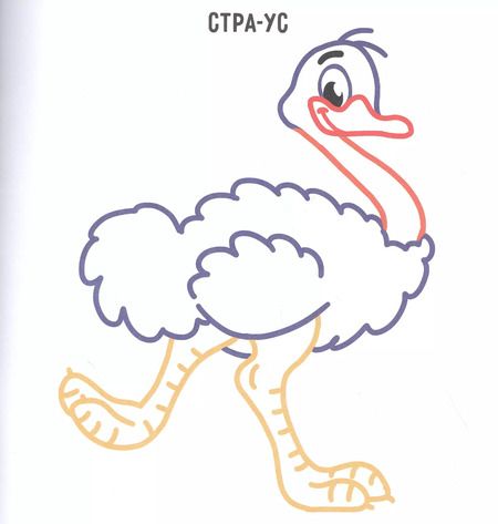 Фотография книги "Животный мир. Раскраска с цветным контуром"