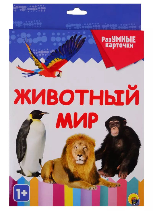 Обложка книги "Животный мир 20 карточек"