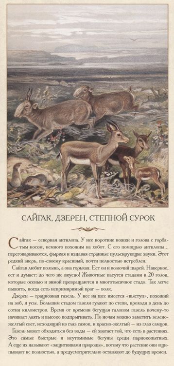 Фотография книги "Животный мир Азии. Степи и горы"