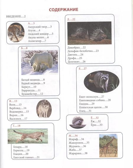Фотография книги "Животный мир от А до Я"