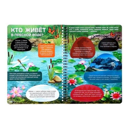 Фотография книги "Жизнь на земле. Животные и где они обитают"