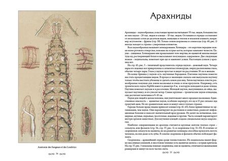 Фотография книги "Жорж Леопольд: Царство животных. Членистые. Аннелиды и арахниды"