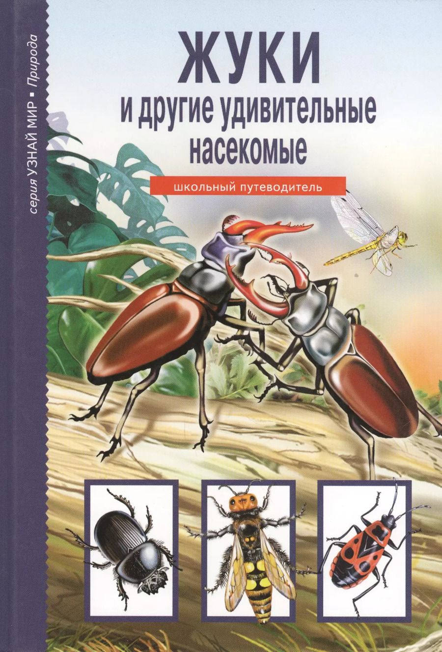 Обложка книги "Жуки и другие удивительные насекомые."