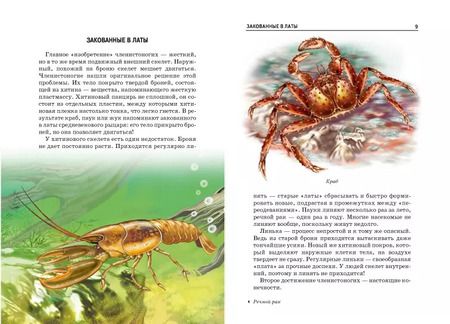 Фотография книги "Жуки и другие удивительные насекомые."