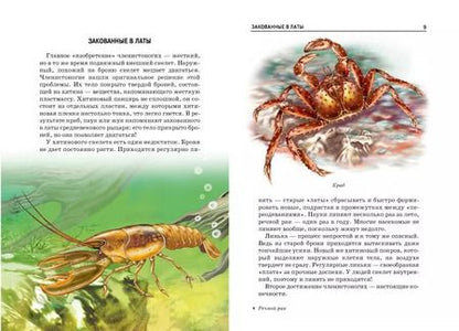 Фотография книги "Жуки и другие удивительные насекомые."