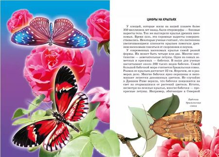 Фотография книги "Жуки и другие удивительные насекомые."