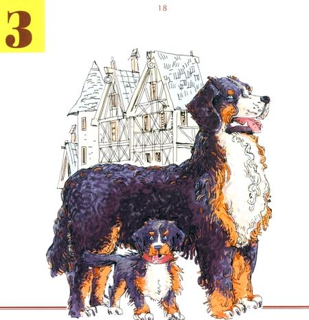 Фотография книги "Жуков: Собачья радость, или Моё собачье дело"