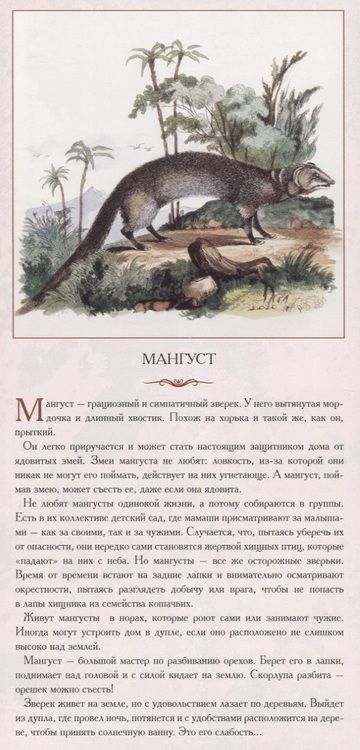 Фотография книги "Жукова: Животный мир Южной Азии. Красивые звери"