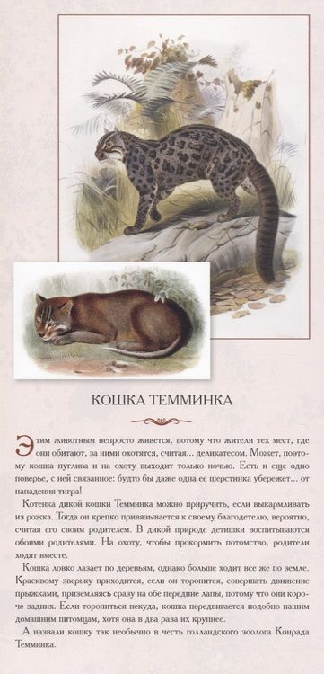 Фотография книги "Жукова: Животный мир Южной Азии. Красивые звери"