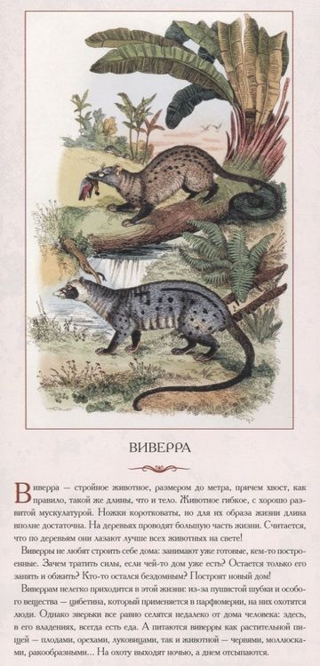 Фотография книги "Жукова: Животный мир Южной Азии. Красивые звери"