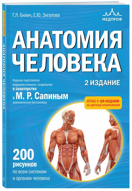Фотография книги "Зигалова, Билич: Анатомия человека. Атлас с qr-кодами на цветные изображения"