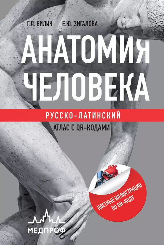 Обложка книги "Зигалова, Билич: Анатомия человека. Русско-латинский атлас с QR-кодами"