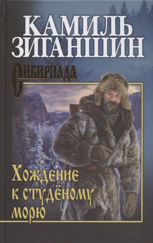 Обложка книги "Зиганшин: Хождение к студёному морю"