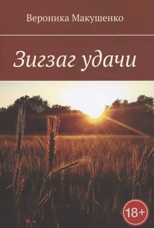 Обложка книги "Зигзаг удачи"