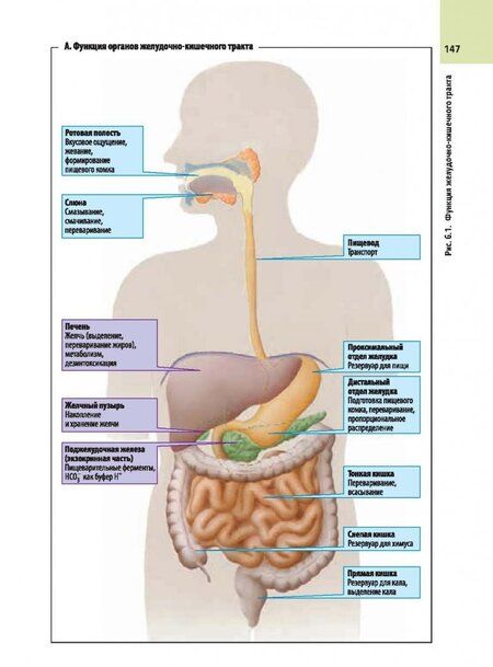 Фотография книги "Зилбернагль, Ланг: Клиническая патофизиология. Атлас"