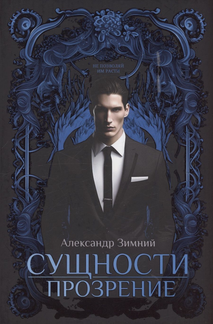 Обложка книги "Зимний: Сущности прозрение"